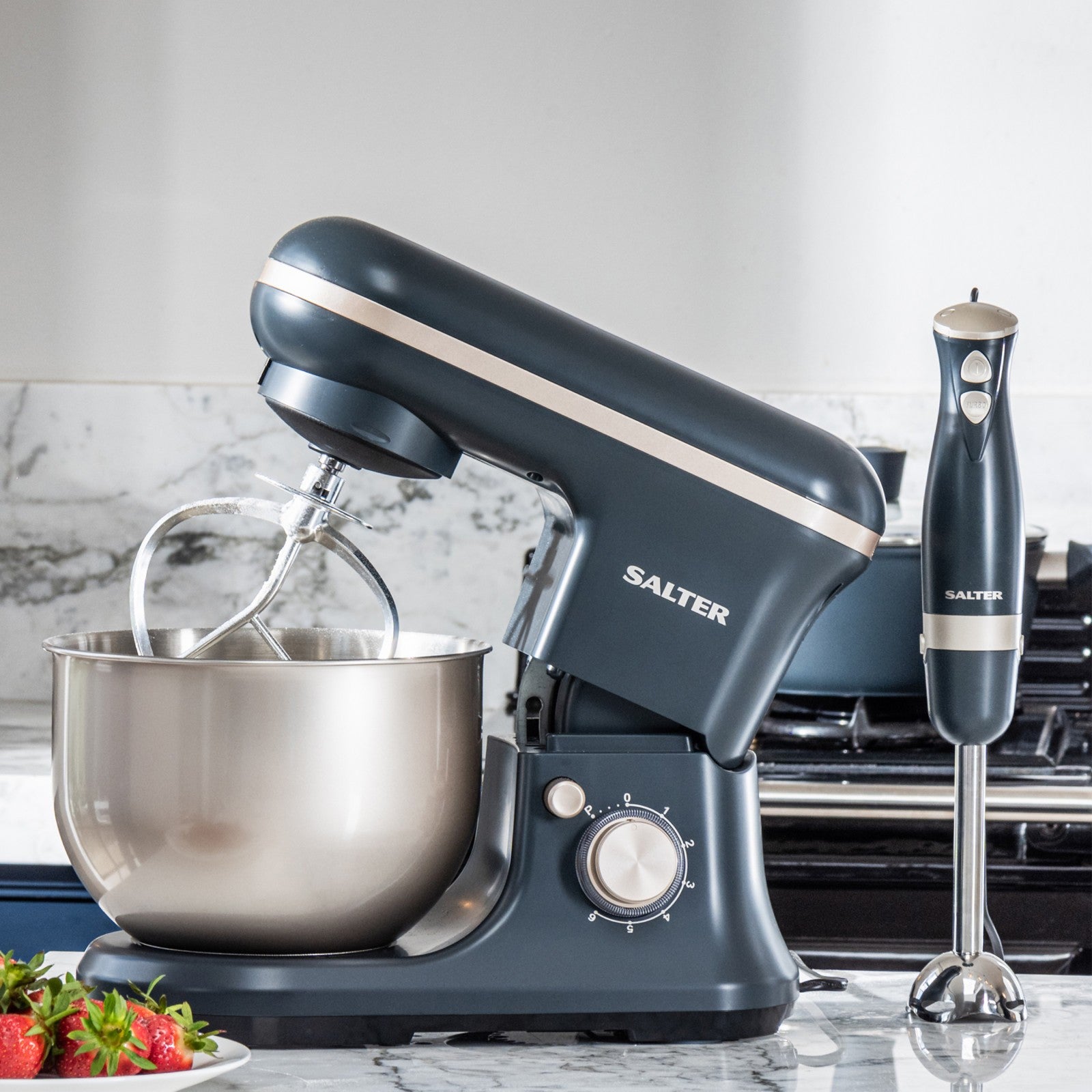 Salter Marino Hand Blender Immersion Blending 2 Speeds Settings Blue Grey 600 W