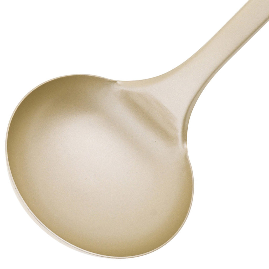 Salter Ladle Stainless Steel Spoon Kitchen Utensil Hanging Hook Olympus Gold